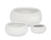 Set3 P.Vaso Ribbed Bomb White Low