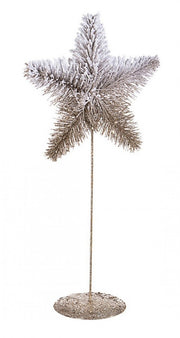 12x Freezy Champagn Star Decoration Stand