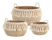 2x Set3 Cesta 2M Alma Bomb