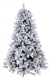 Snowy Arves Tree H270-3293Branches