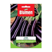 Long Aubergine Seeds In Envelope