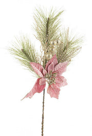 12x Annabel Poinsettia Rosa, 50cm Height