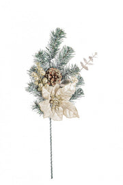 12x Dorette Poinsettia Champagne, 50cm Height