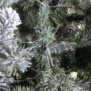 Green Gennargentu tree with snow 781 branches cmø118h180