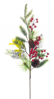 12x Marriel Berry Branch C