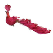 Red feather peacock with clip cm30x5h11