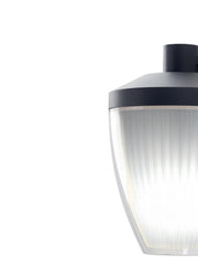 Bottom applique E27 graphite ficus line