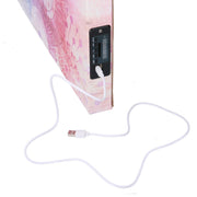 Modern pink rose bluetooth print picture 150 x 50 x 4 cm