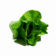 Artificial vegetable decoration lettucecm15x9h9