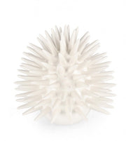 Sea Urchin Decoration Abyss Bia H18,5
