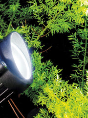 Spotlight 6W Led 4000K fox line black