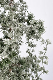 Snow-covered Pino Collalto H120