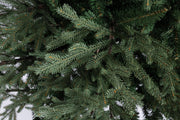 Denali tree H210-4278 branches