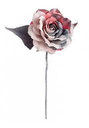 12x Rosa Coline Pick - Pink/Red