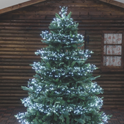 Cool white led chain 1100 MiniLED 11.5m