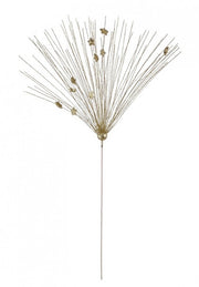 12x Golden C-Star Pick Gleam