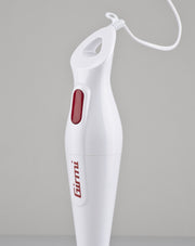 IMMERSION MIXER MX01